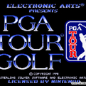 PGA高尔夫公开赛(日)