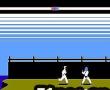 空手道专家在线版